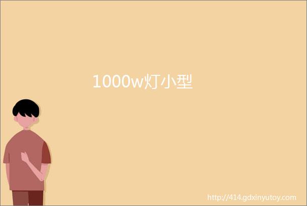 1000w灯小型